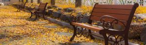 parksazan.jpg